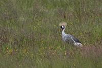 Cjp_2013_06_04_143050.jpg