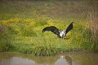 Cjp_2013_06_04_143506.jpg