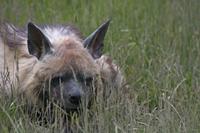 Cjp_2013_06_04_144408.jpg