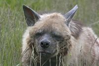 Cjp_2013_06_04_144900.jpg