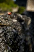 Cjp_2013_06_05_063302.jpg