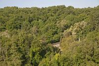 Cjp_2013_06_05_070104.jpg