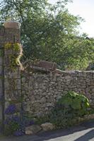 Cjp_2013_06_05_070640.jpg