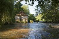 Cjp_2013_06_05_072622.jpg