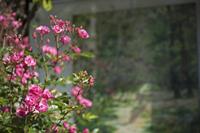 Cjp_2013_06_05_075748.jpg