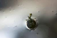 Cjp_2013_06_05_131536.jpg