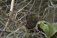 Cjp_2013_06_05_140458.jpg