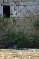 Cjp_2013_06_05_140654.jpg