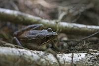 Cjp_2013_06_05_140916.jpg