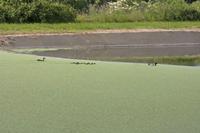 Cjp_2013_06_05_144450.jpg
