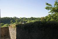 Cjp_2013_06_06_063418.jpg