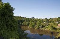 Cjp_2013_06_06_063920.jpg