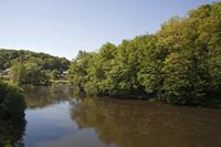Cjp_2013_06_06_080724.jpg