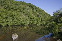 Cjp_2013_06_06_080802.jpg