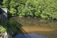 Cjp_2013_06_06_080810.jpg