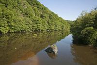 Cjp_2013_06_06_080842.jpg