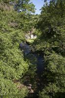 Cjp_2013_06_06_082144.jpg