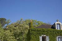Cjp_2013_06_06_082656.jpg