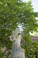 Cjp_2013_06_06_083040.jpg