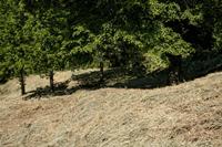 Cjp_2013_06_06_085032.jpg