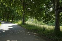 Cjp_2013_06_06_132650.jpg