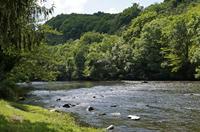 Cjp_2013_06_06_133624.jpg