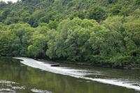 Cjp_2013_06_06_134038.jpg