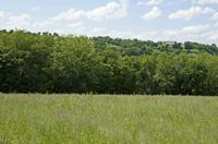 Cjp_2013_06_06_140736.jpg