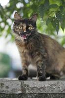 Cjp_2013_09_26_093448.jpg