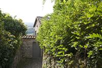 Cjp_2013_09_26_133028.jpg