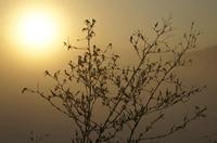 Cjp_2013_09_27_061014.jpg