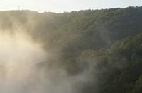 Cjp_2013_09_27_061550.jpg