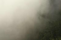 Cjp_2013_09_27_064654.jpg