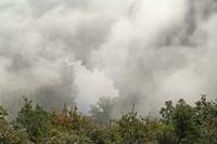 Cjp_2013_09_27_073022.jpg