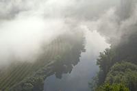 Cjp_2013_09_27_073238.jpg