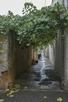 Cjp_2013_09_28_080512.jpg