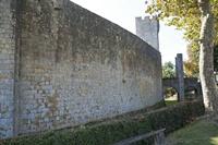 Cjp_2013_09_28_102756.jpg