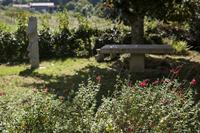 Cjp_2013_09_28_103726.jpg