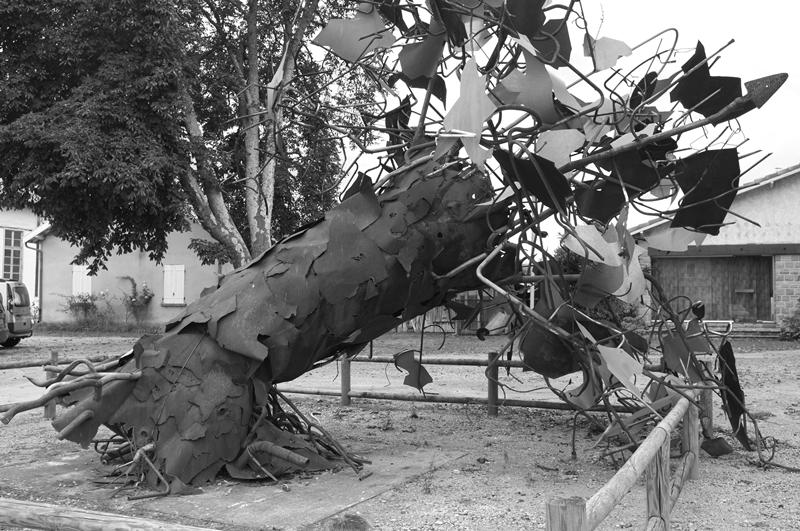 Cjp_2013_09_28_164531.jpg