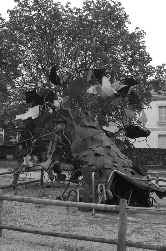 Cjp_2013_09_28_164635.jpg