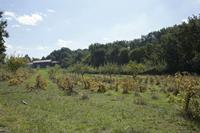 Cjp_2013_09_28_105004.jpg