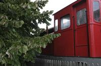 Cjp_2013_09_28_162008.jpg