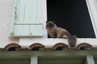 Cjp_2013_09_28_163504.jpg