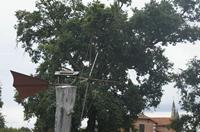 Cjp_2013_09_28_164948.jpg