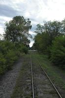 Cjp_2013_09_29_082014.jpg