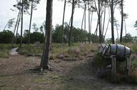 Cjp_2013_09_29_083617.jpg