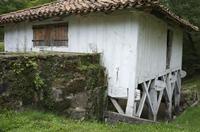 Cjp_2013_09_29_085930.jpg