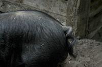 Cjp_2013_09_29_092628.jpg