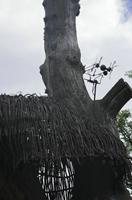 Cjp_2013_09_29_093452.jpg