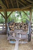 Cjp_2013_09_29_093520.jpg